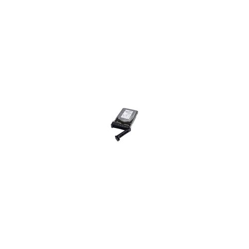 Dell - Kit del cliente - disco duro - 12 TB - hot-swap - 3.5" - SATA 6Gb/s - 7200 rpm