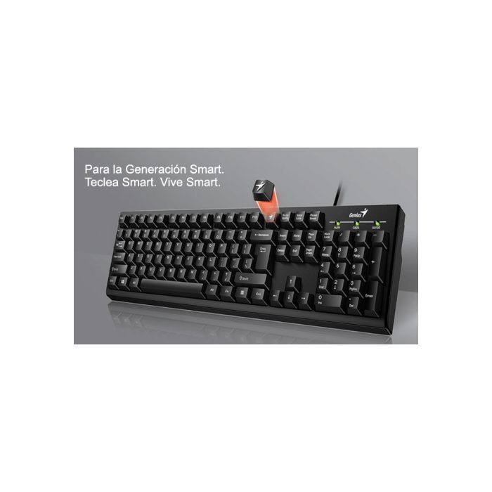 TECLADO GENIUS SMART KB-100 USB BLACK