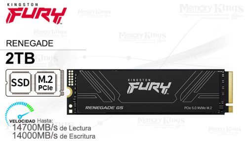Ssd Kt Fury Reneg 2Tb Nvme G5