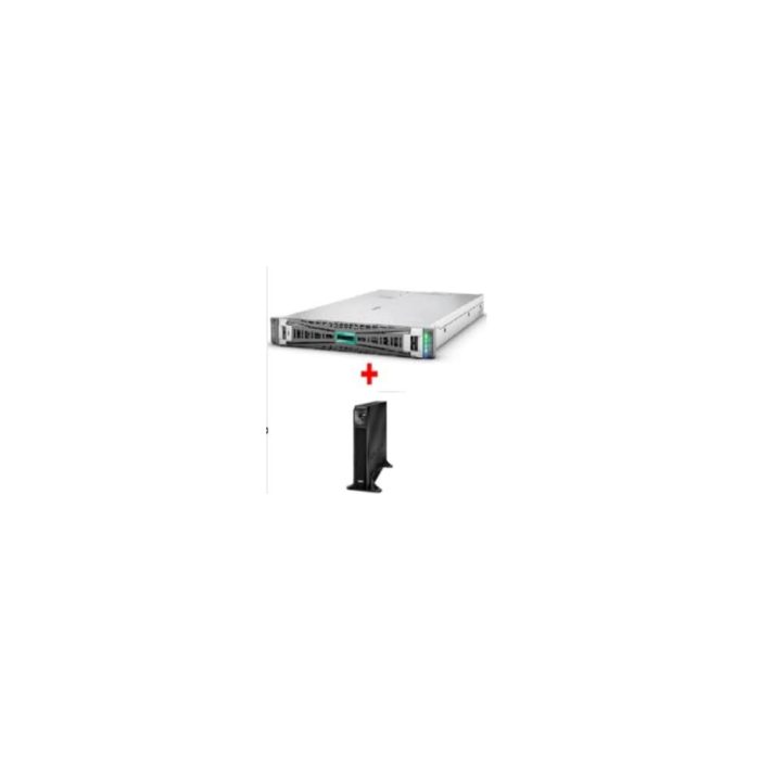 Prom Serv HP DL360 G11 + SRT3000XLI