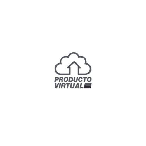 SERVICIO ANUAL DATTO DRIVE 1TB