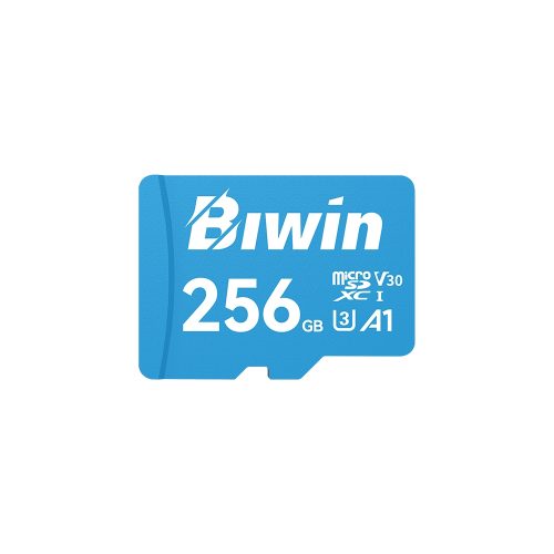 BIWIN MICROSD 256GB UHS-I